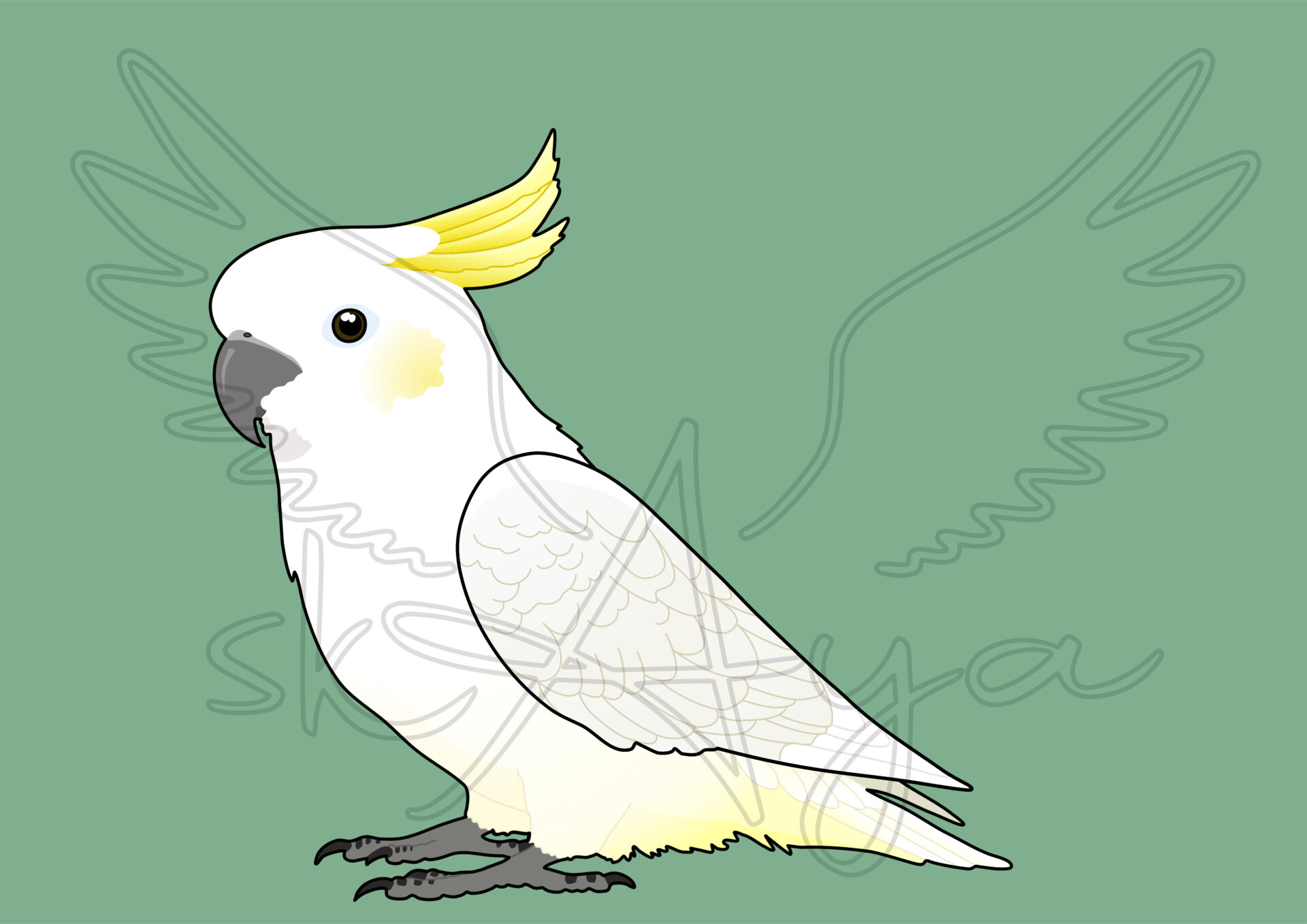 Pre-order Cockatoo Acrylic Shaker Pieces
