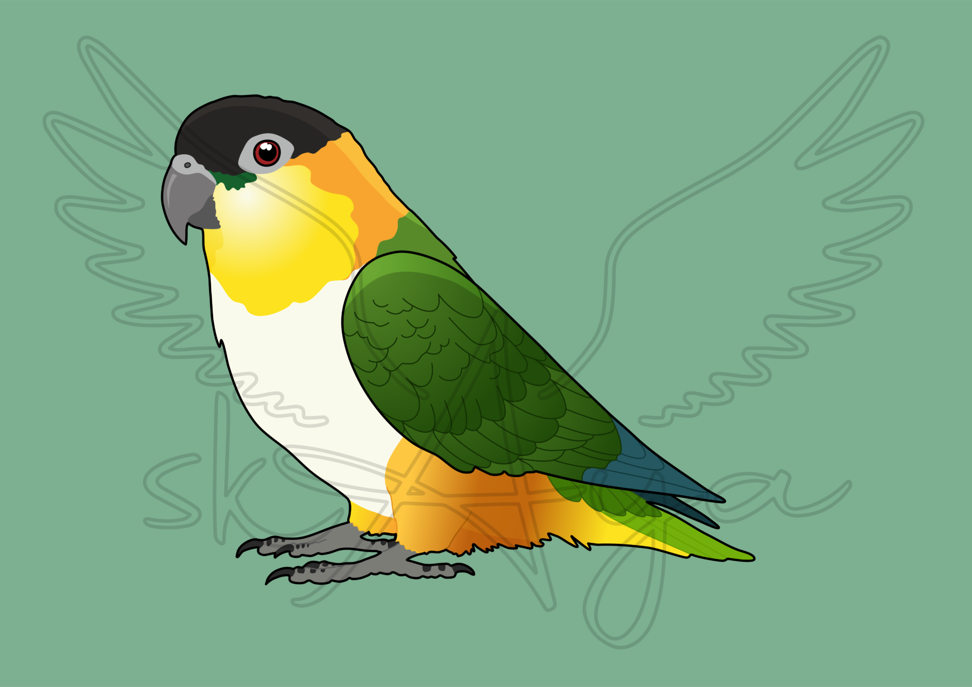 Pre-order Caique Acrylic Shaker Pieces - Image 2
