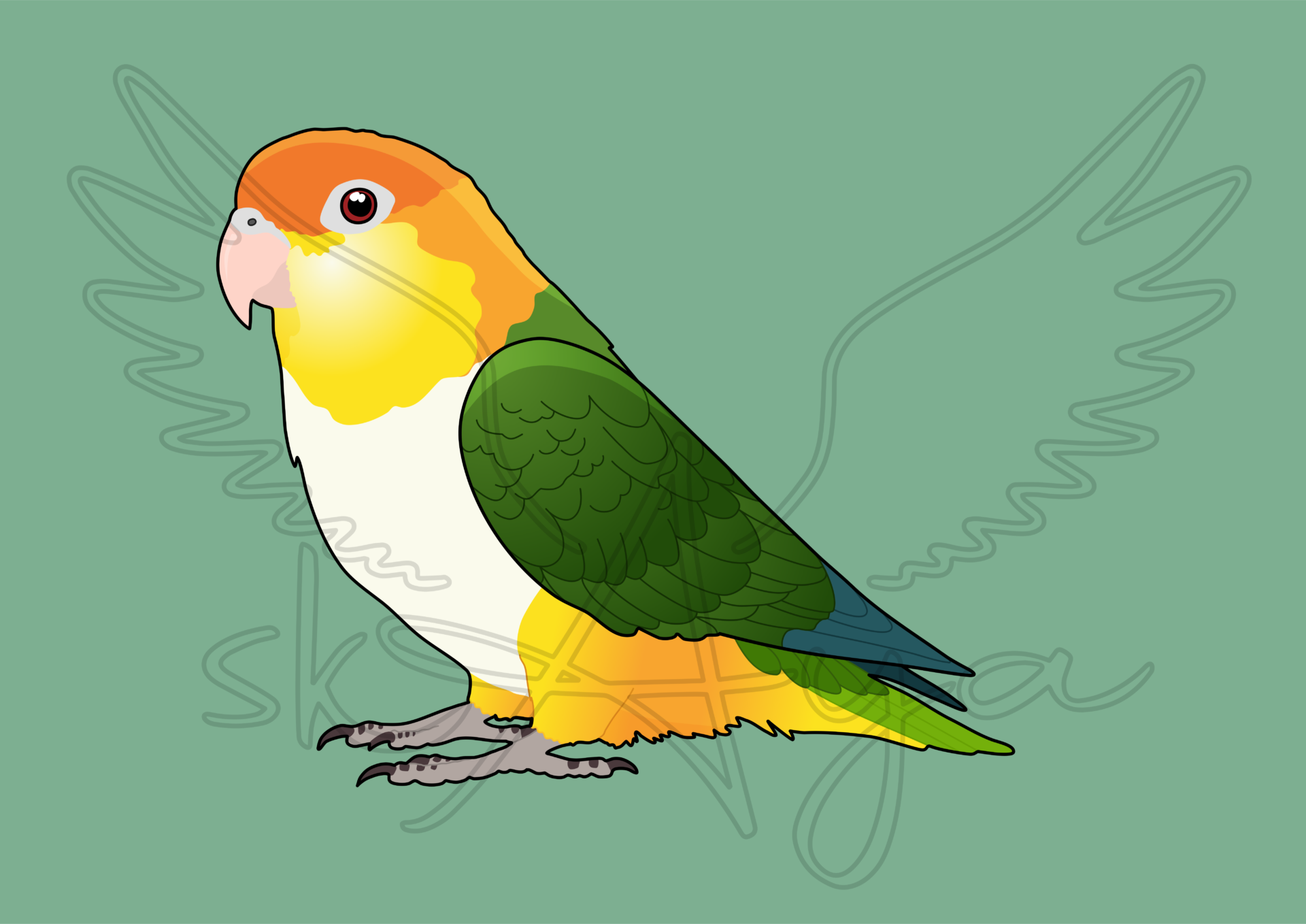 Pre-order Caique Acrylic Shaker Pieces - Image 3