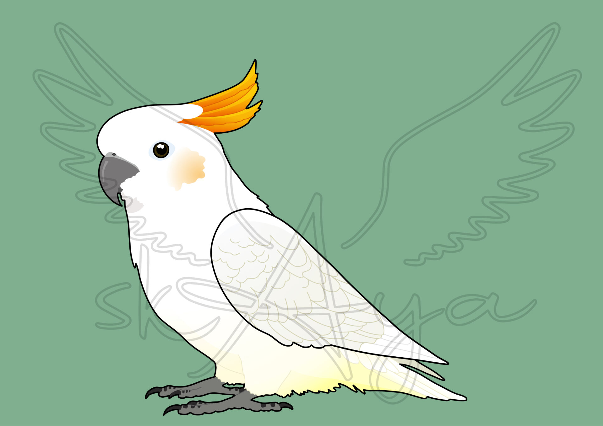 Pre-order Cockatoo Acrylic Shaker Pieces - Image 2