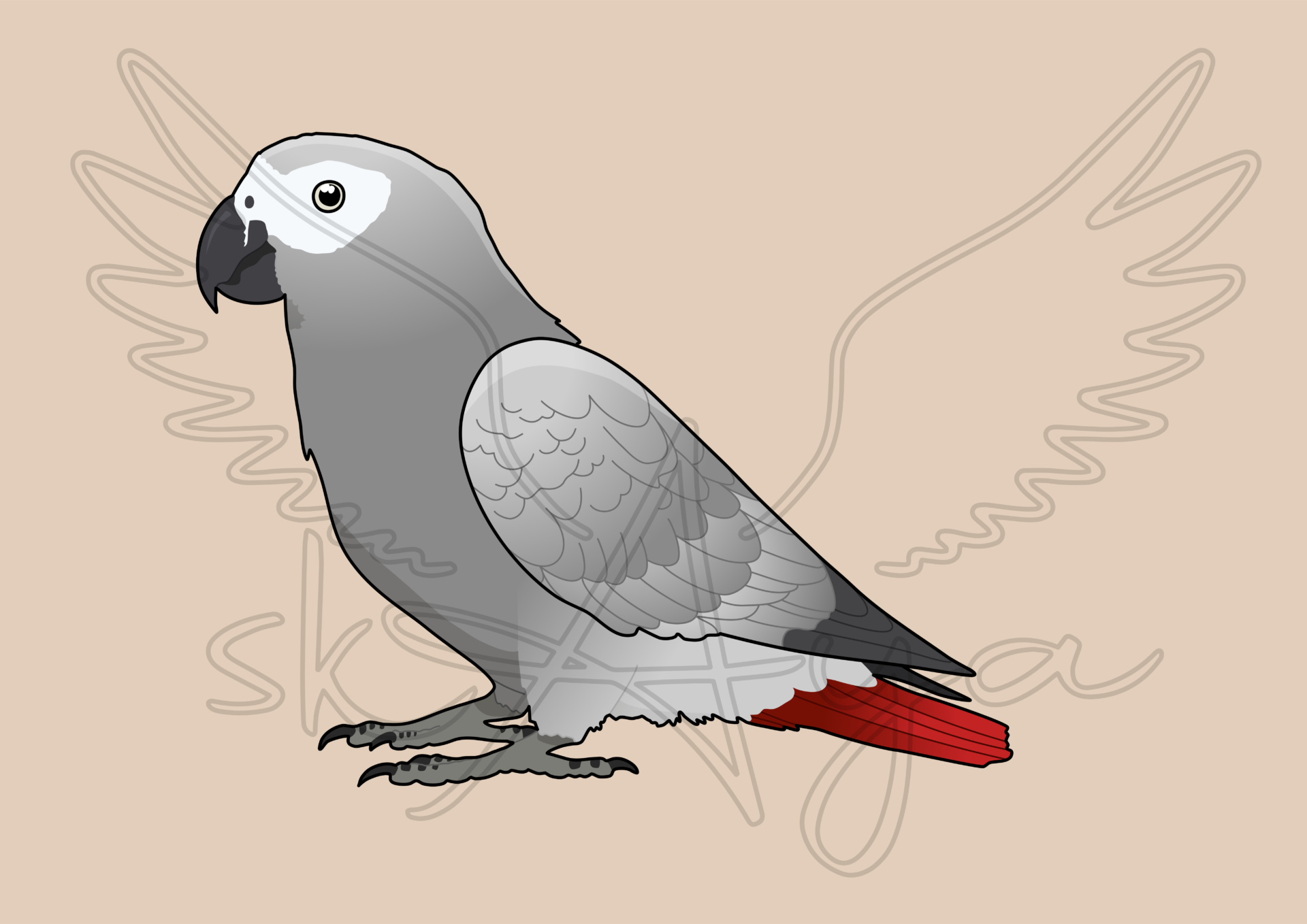 Pre-order African grey Acrylic Shaker Pieces