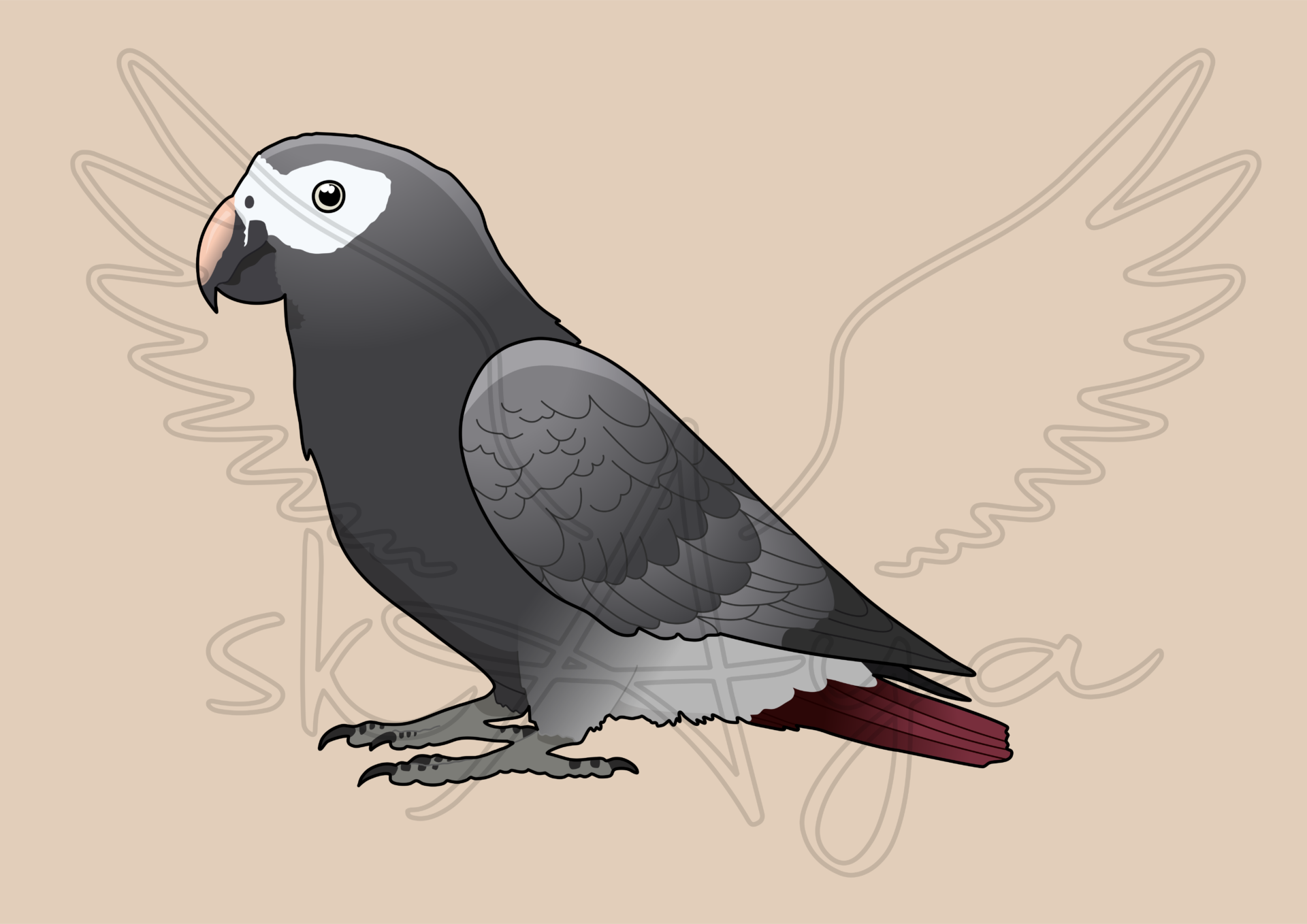 Pre-order African grey Acrylic Shaker Pieces - Image 2