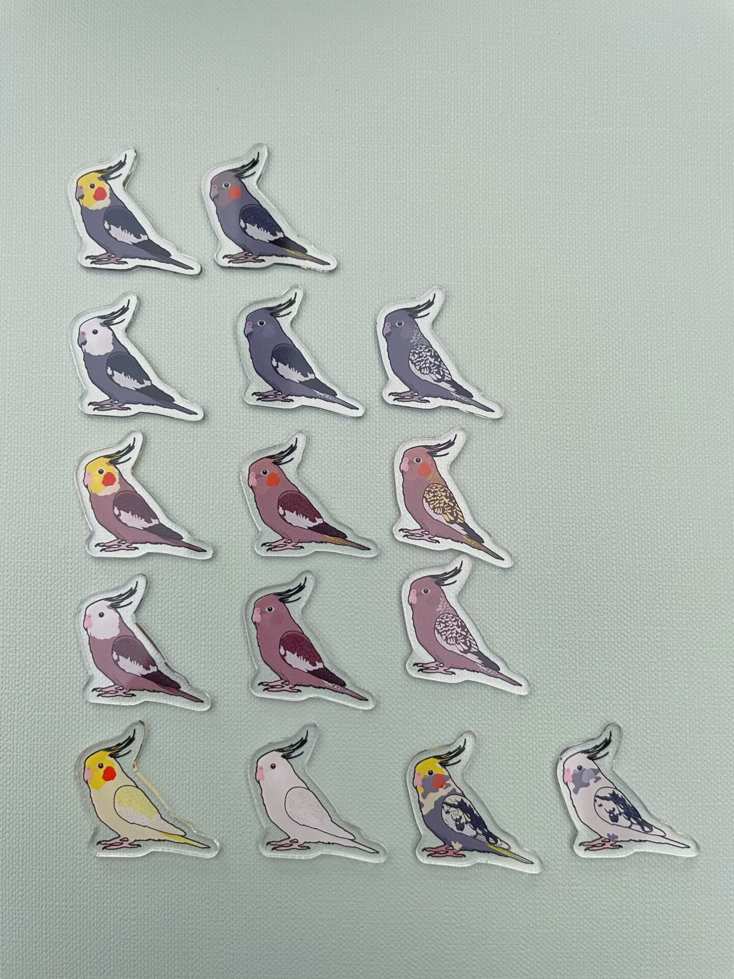 Cockatiel Acrylic Shaker Pieces - Image 2