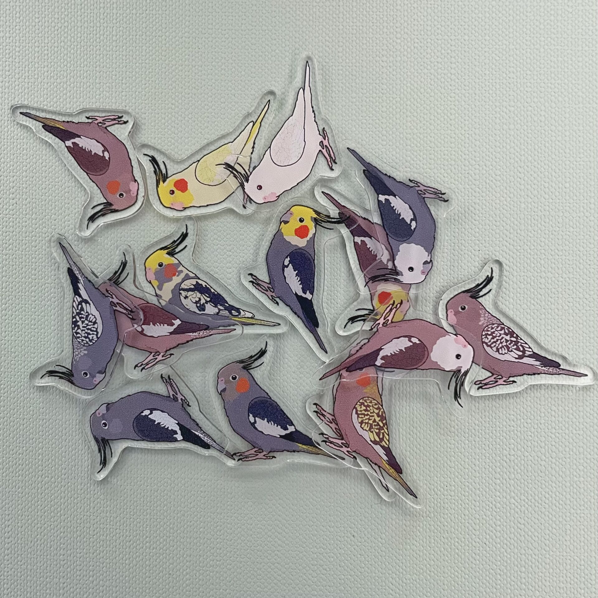 Cockatiel Acrylic Shaker Pieces