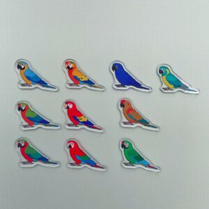 Alternative view of Macaw Acrylic Shaker Pieces