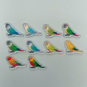Alternative view of Conure Acrylic Shaker Pieces