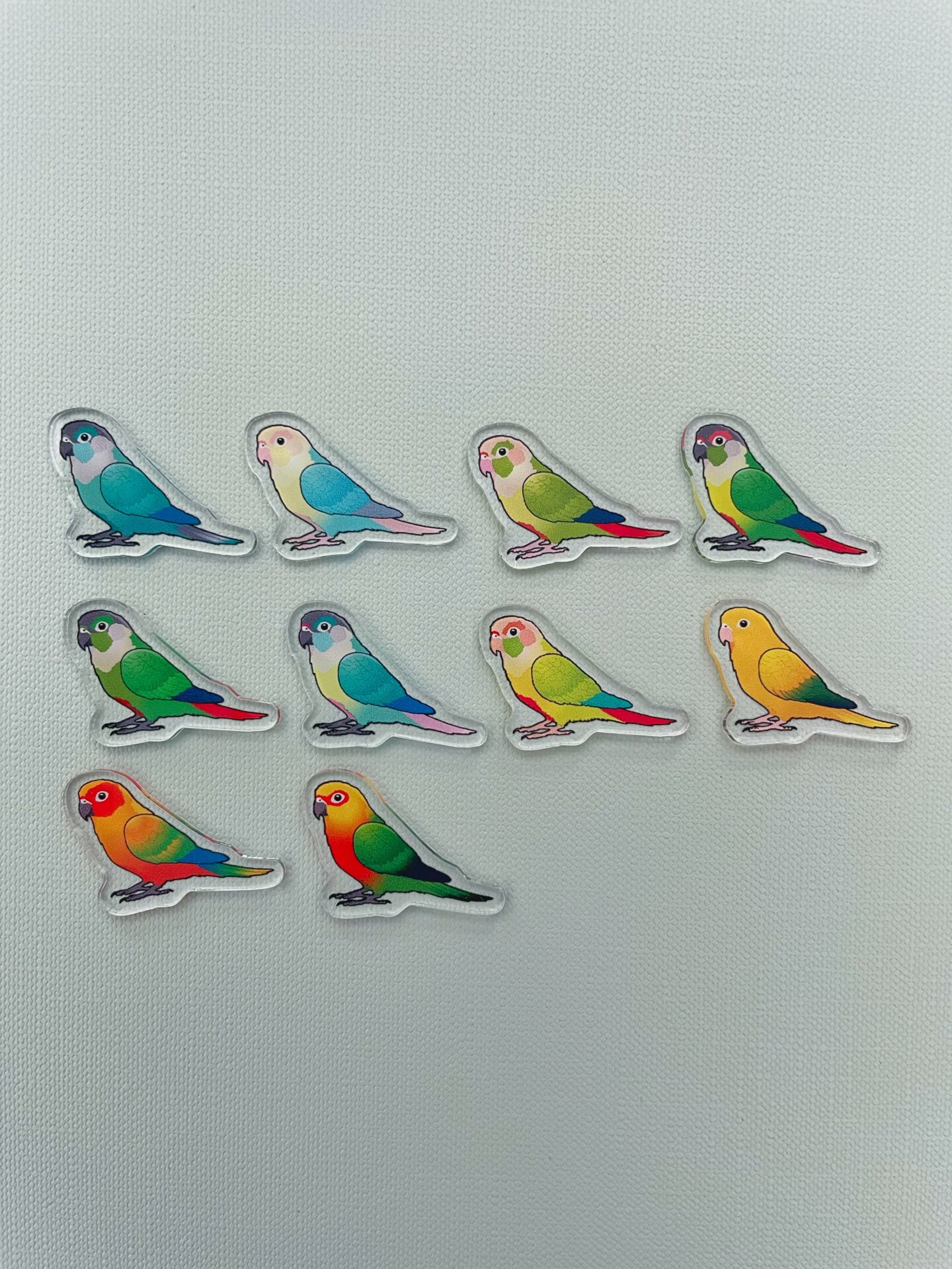 Conure Acrylic Shaker Pieces - Image 2