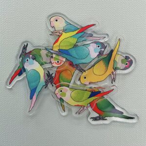 Conure Acrylic Shaker Pieces