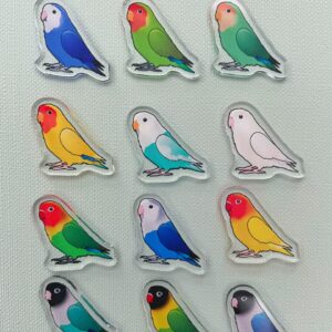 Alternative view of Lovebird Acrylic Shaker Pieces