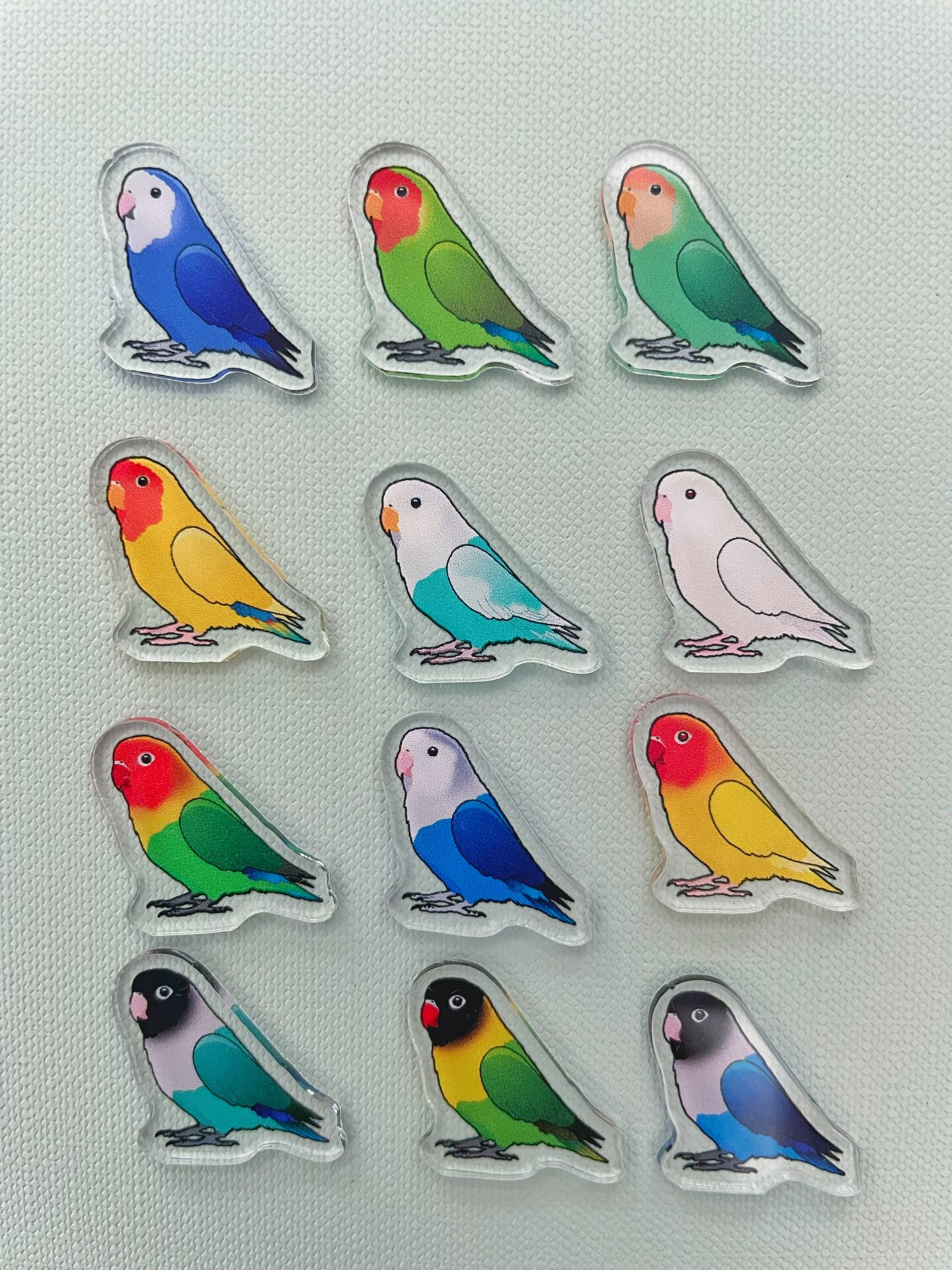 Lovebird Acrylic Shaker Pieces - Image 2