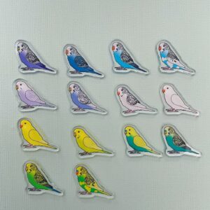 Alternative view of Budgie Acrylic Shaker Pieces