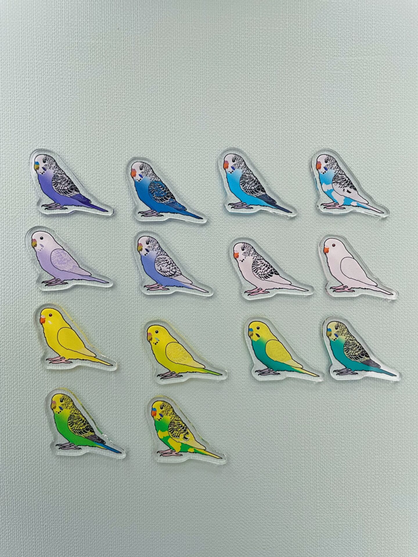 Budgie Acrylic Shaker Pieces - Image 2