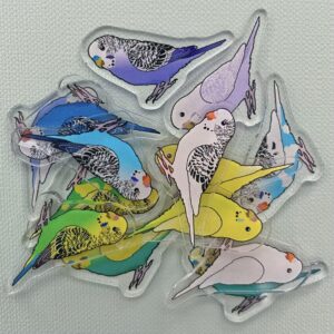 Budgie Acrylic Shaker Pieces