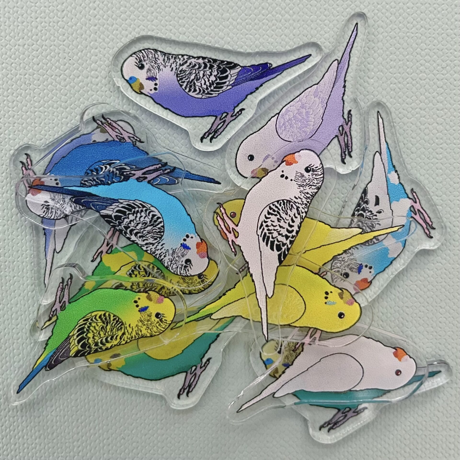 Budgie Acrylic Shaker Pieces
