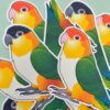 Caique Glitter Sticker