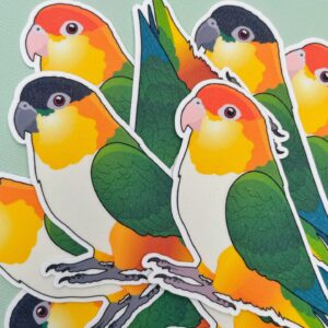 Caique Glitter Sticker