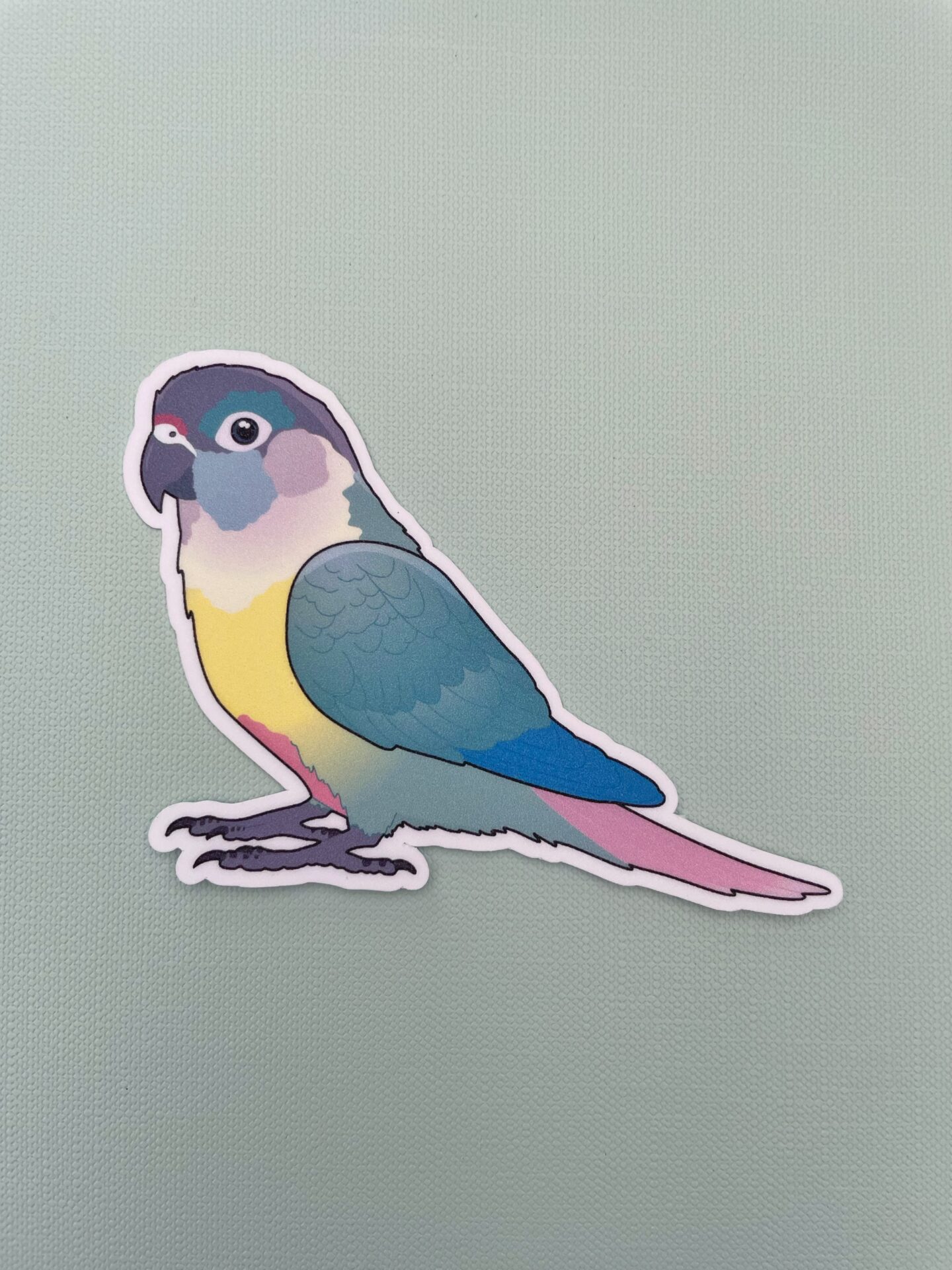 Conure Glitter Sticker - Image 4
