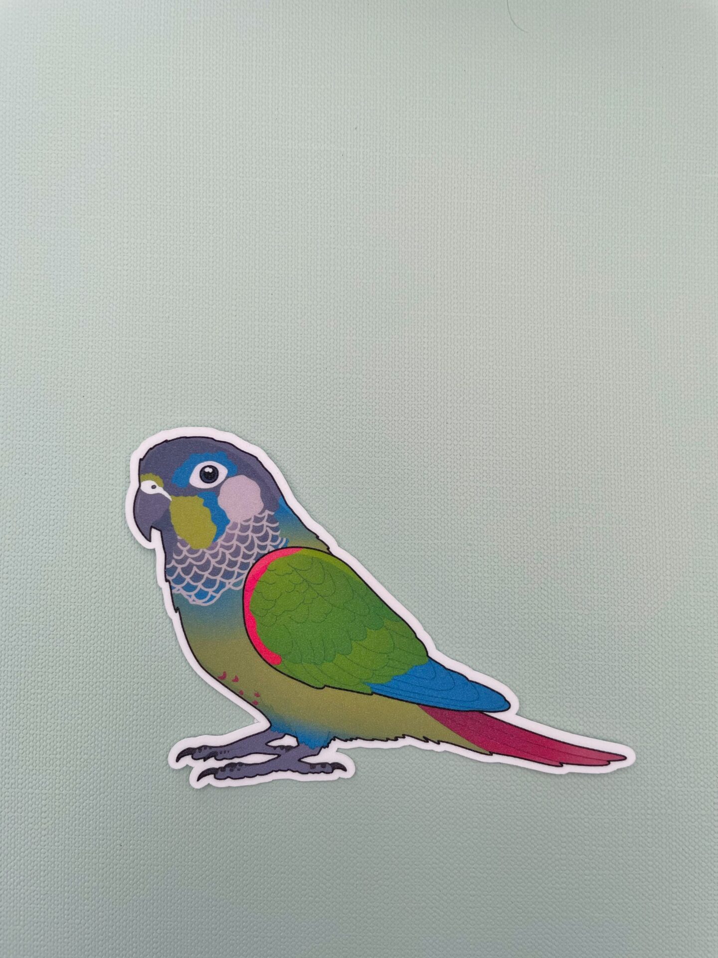 Conure Glitter Sticker - Image 10