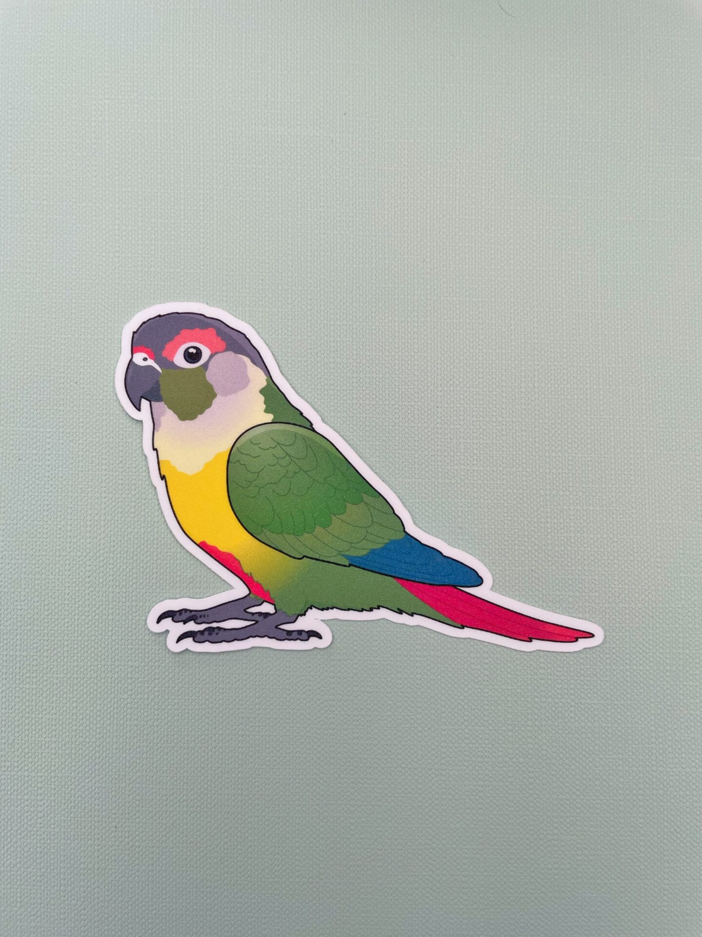 Conure Glitter Sticker - Image 11