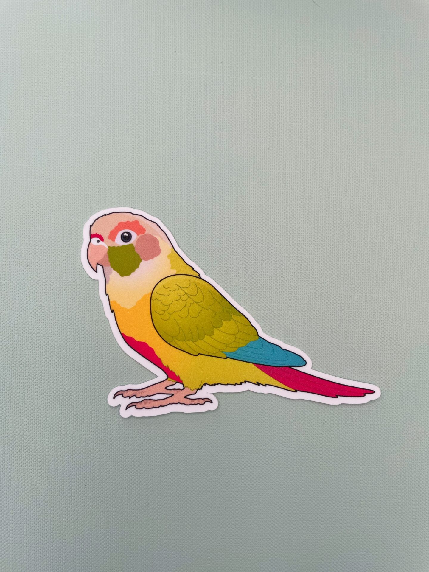 Conure Glitter Sticker - Image 7