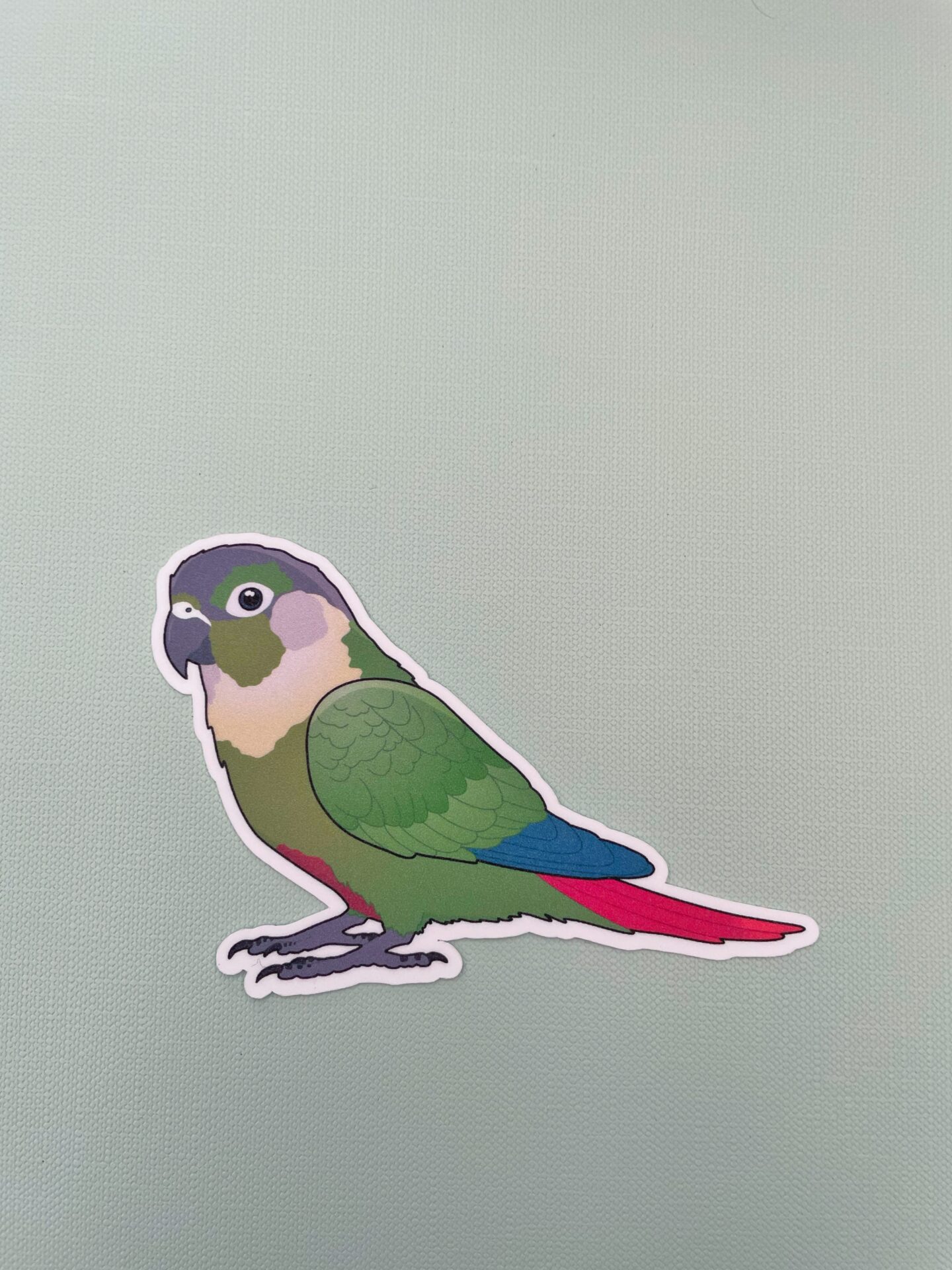 Conure Glitter Sticker - Image 13