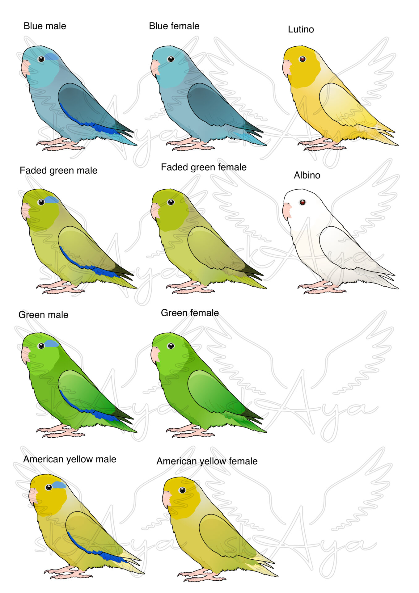 Parrotlet Glitter Sticker - Image 2