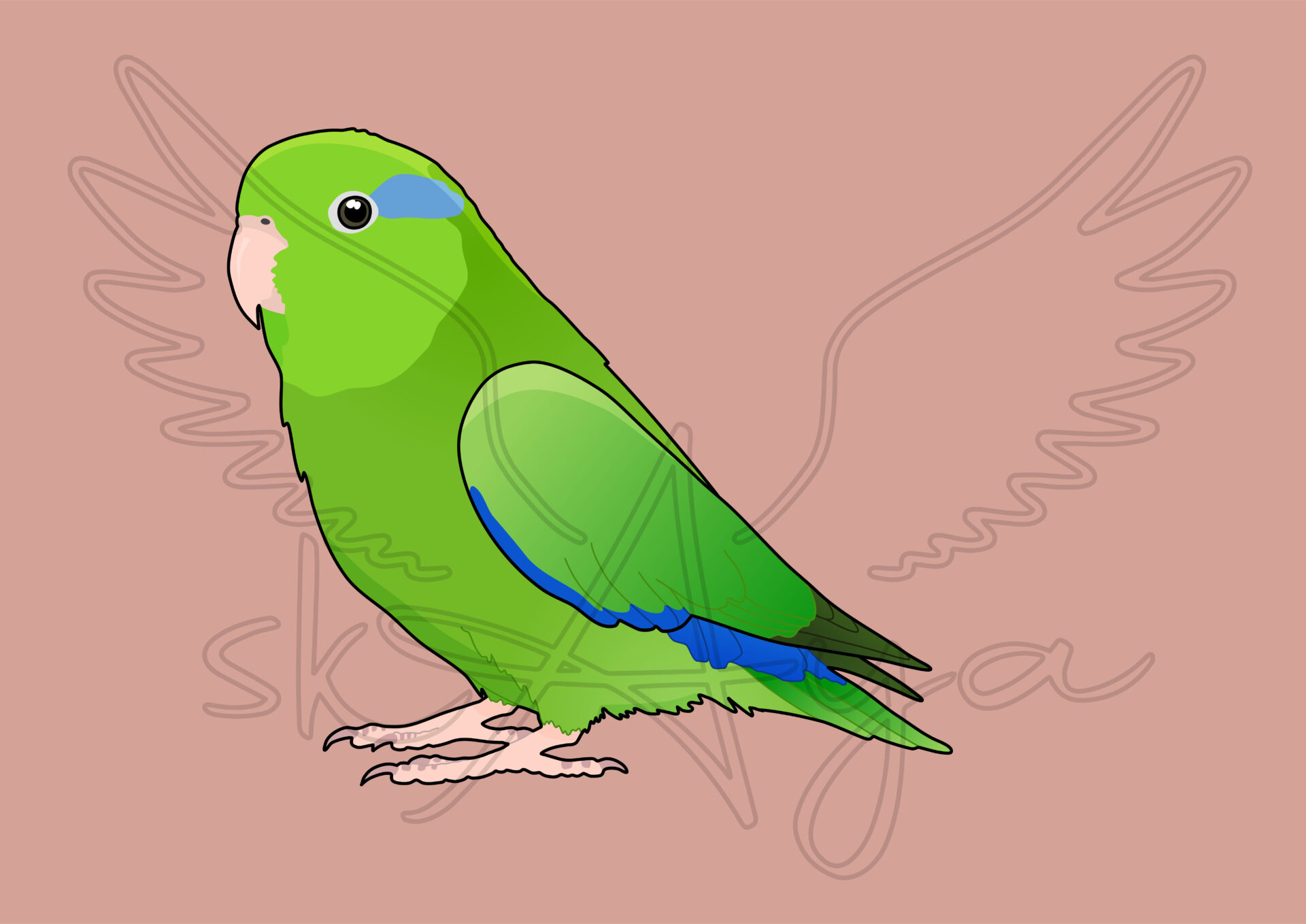Pre-order Parrotlet Acrylic Shaker Pieces