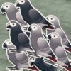 African grey Glitter Sticker