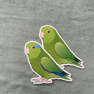 Parrotlet Glitter Sticker - Image 4