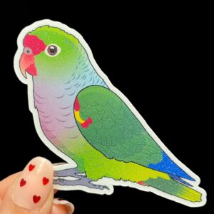 Amazon Glitter Sticker - Image 5