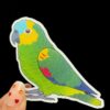 Amazon Glitter Sticker