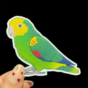 Amazon Glitter Sticker - Image 3