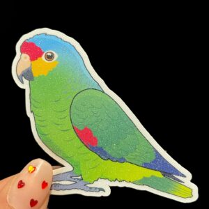 Amazon Glitter Sticker - Image 4