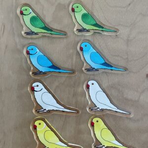 Ringneck Acrylic Shaker Pieces - Image 3
