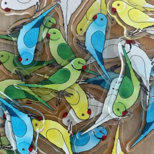 Ringneck Acrylic Shaker Pieces