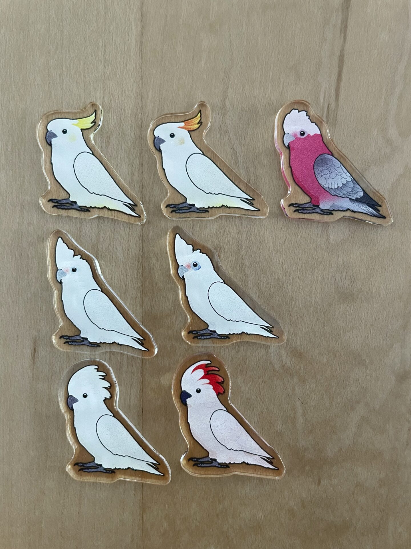 Cockatoo Acrylic Shaker Pieces - Image 3