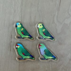 Amazon Acrylic Shaker Pieces - Image 3