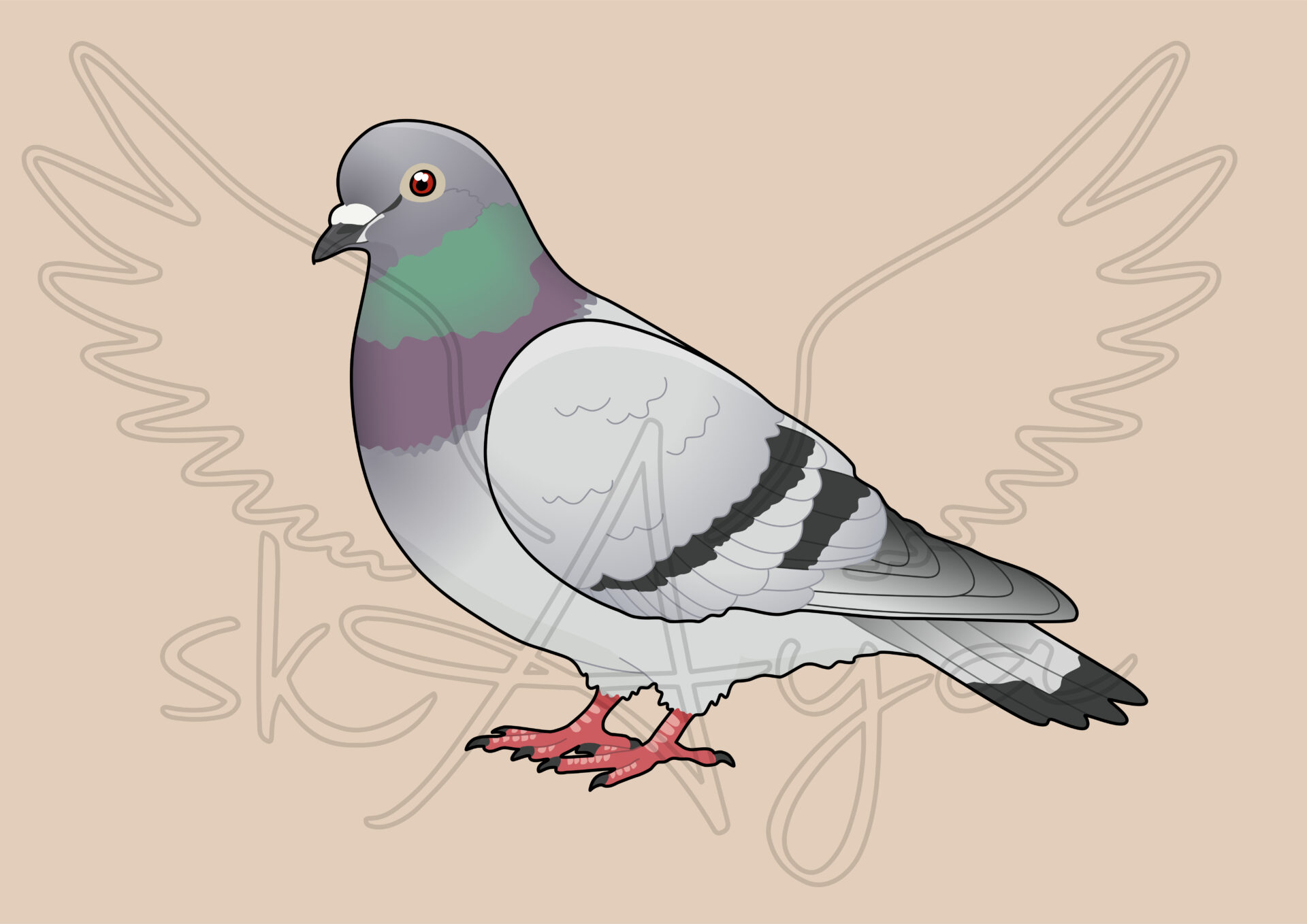 Pre-order Pigeon-Dove Acrylic Shaker Pieces - Image 6
