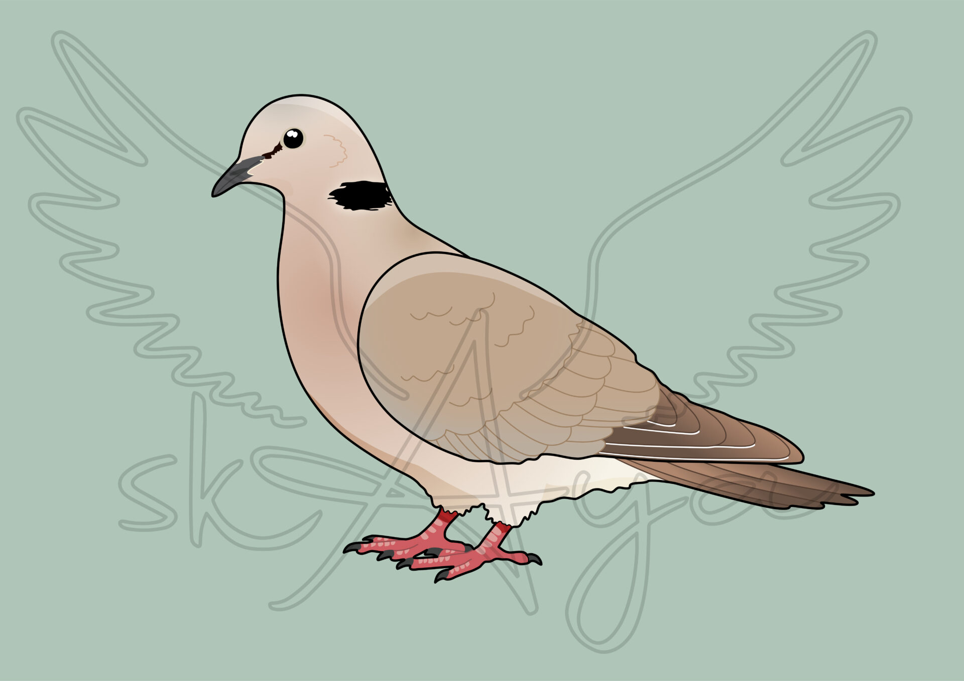 Pre-order Pigeon-Dove Acrylic Shaker Pieces - Image 7