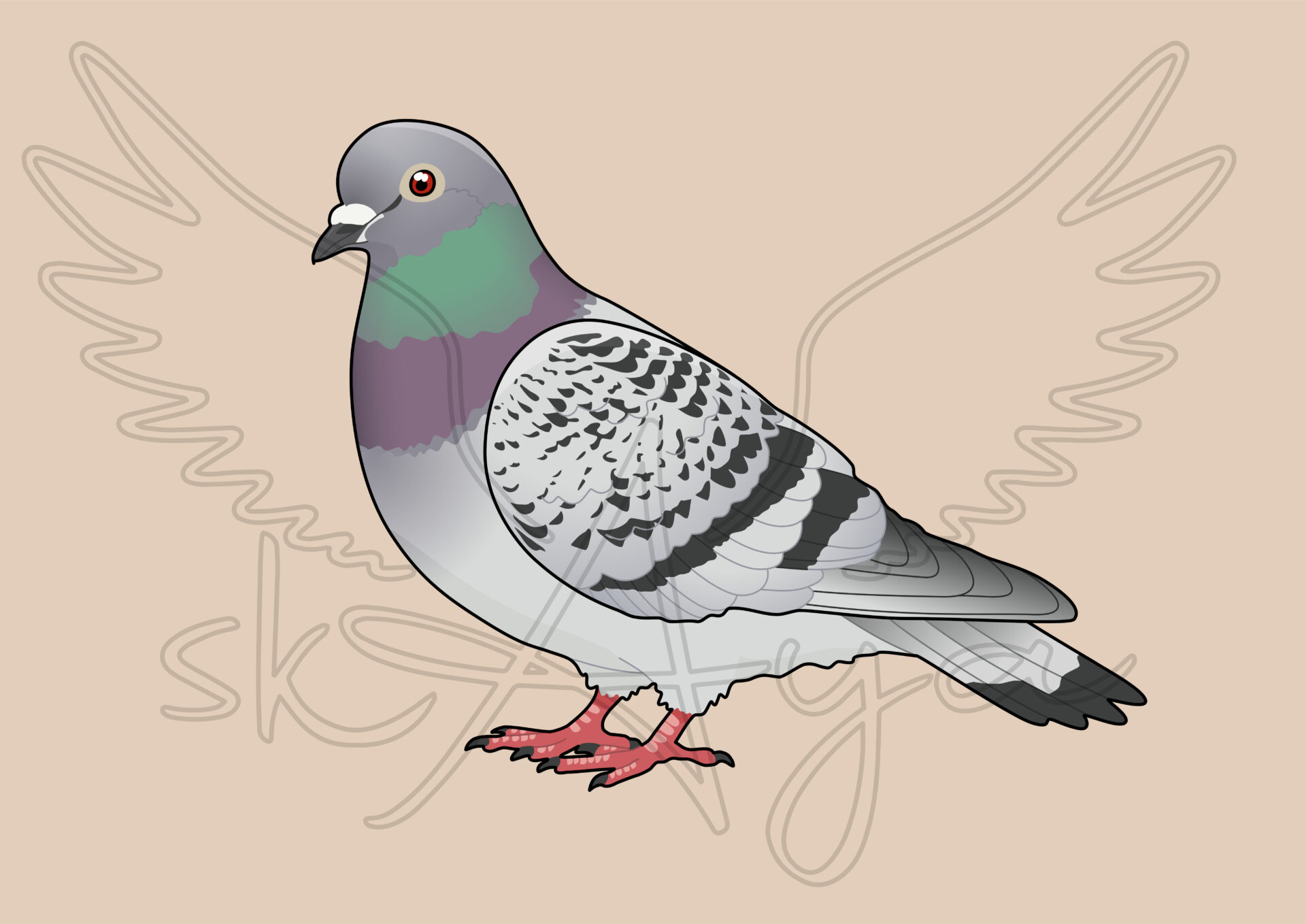 Pre-order Pigeon-Dove Acrylic Shaker Pieces - Image 5