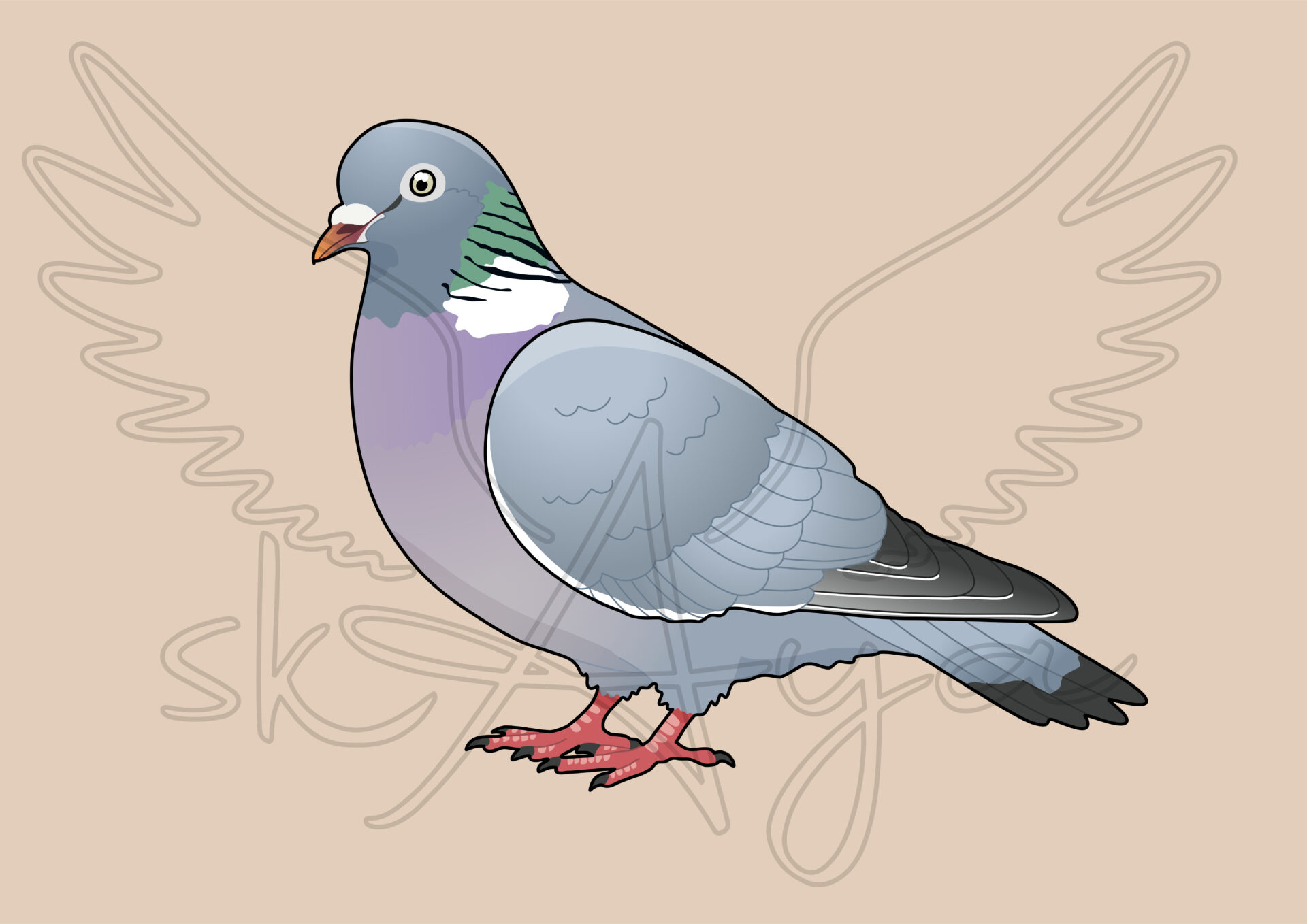 Pre-order Pigeon-Dove Acrylic Shaker Pieces - Image 4