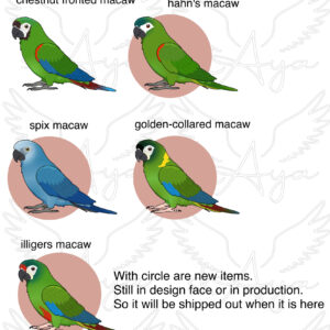 Alternative view of Mini macaw Acrylic Shaker Pieces
