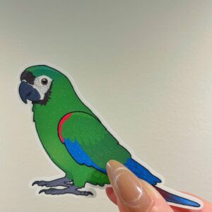 Mini macaw Glitter Sticker - Image 6
