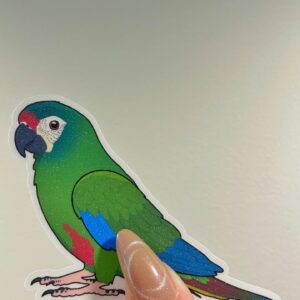 Mini macaw Glitter Sticker - Image 5