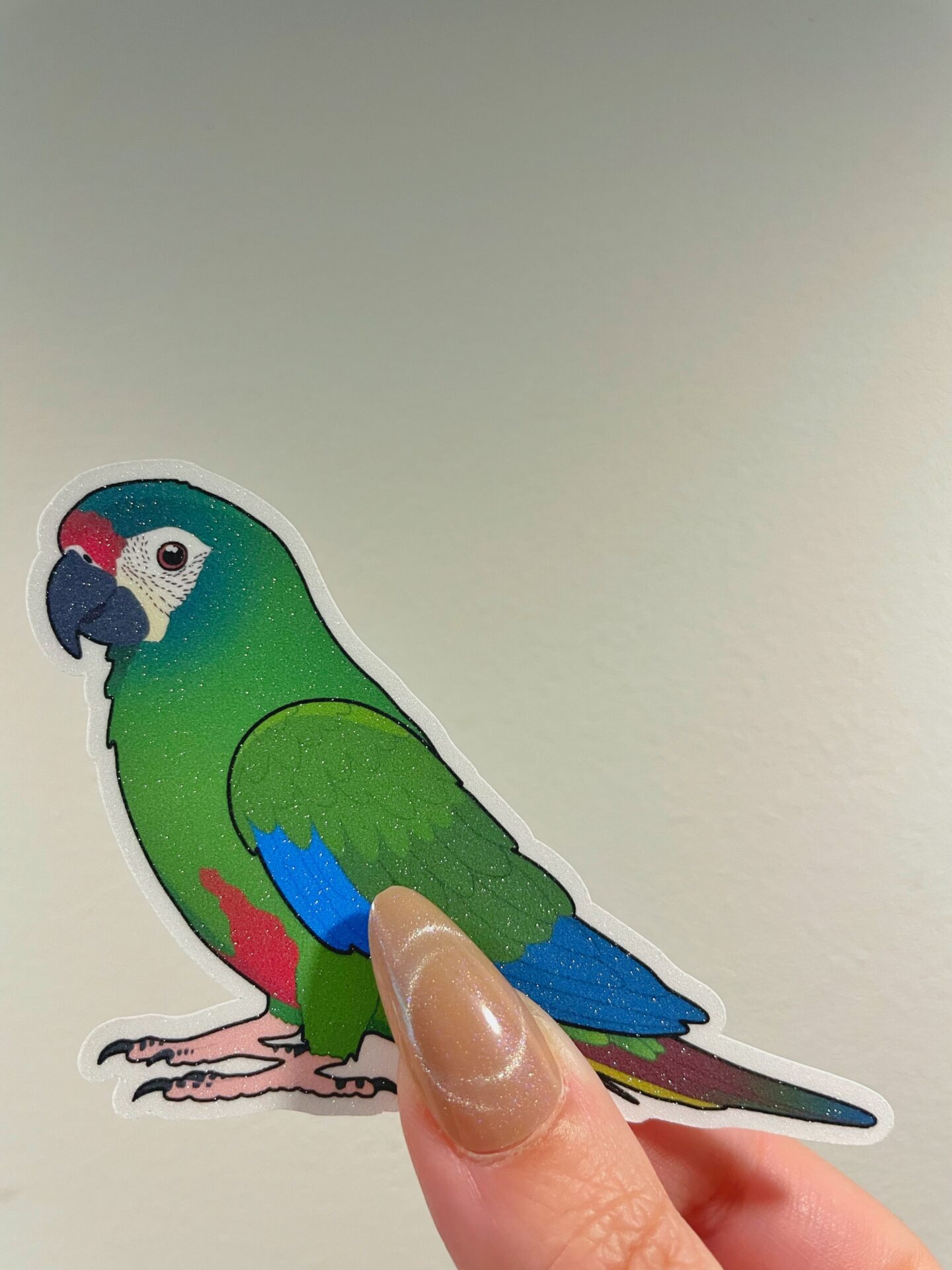Mini macaw Glitter Sticker - Image 5