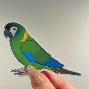Mini macaw Glitter Sticker - Image 4