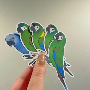 Alternative view of Mini macaw Glitter Sticker