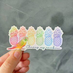 Chasing my rainbow Sticker rainbow