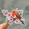 Robin Sticker matte