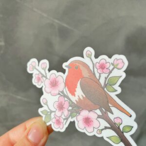 Robin Sticker matte - Image 3